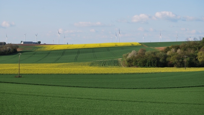 Paysage avec éoliennes