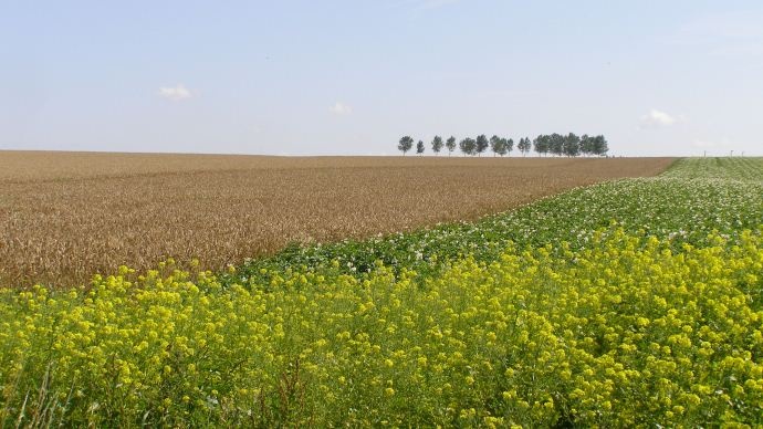 Terres agricoles