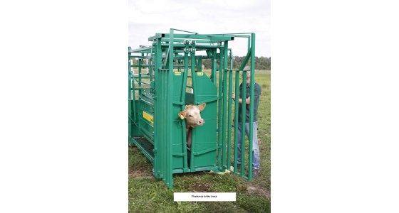 Cage de contention A8000