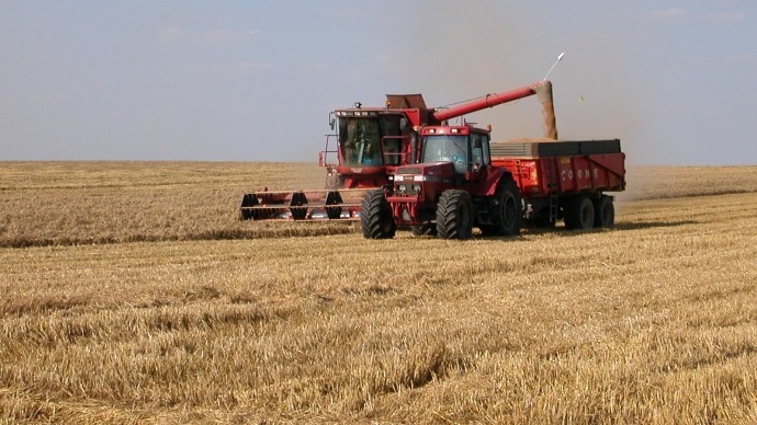 Moisson de blé