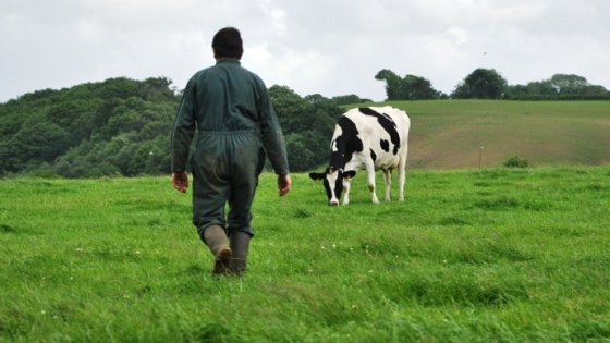 Eleveur avec une vache holstein