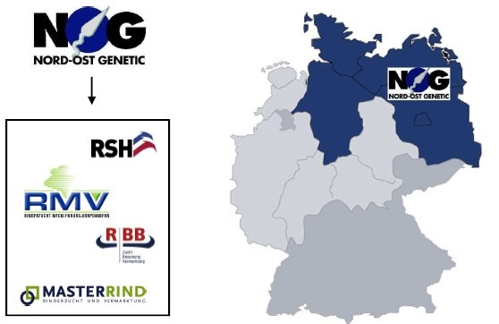 Nog holstein génétique Nog holstein génétique
