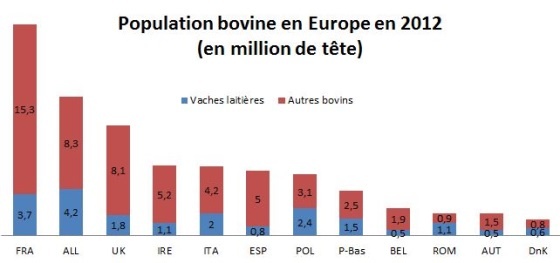 Population bovins en europe par pays