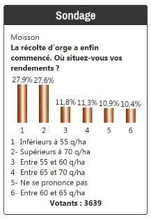 Sondage sur les rendements d'orge d'hiver.