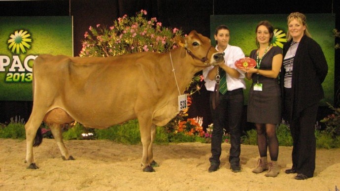 Danae grande championne Jersiaise au Space 2013.