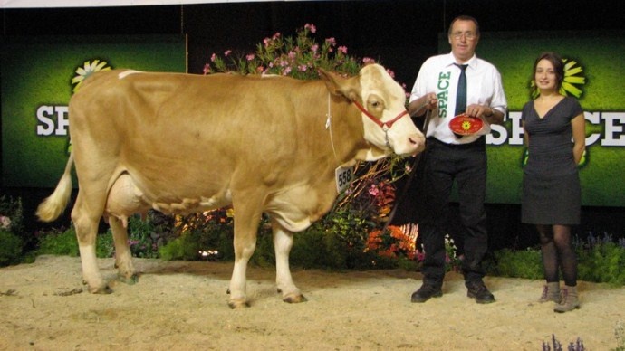 Fantasia remporte le titre de grande championne simmental au Space 2013.
