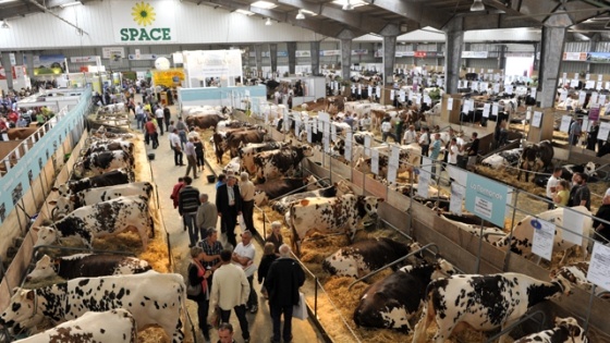 Space 2012