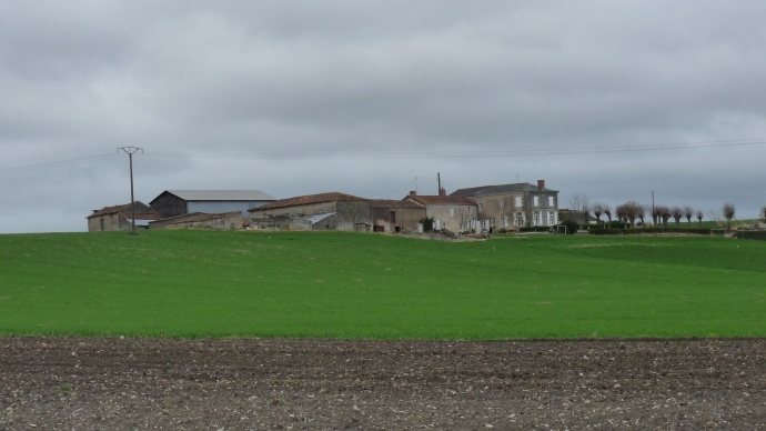 Exploitation agricole 