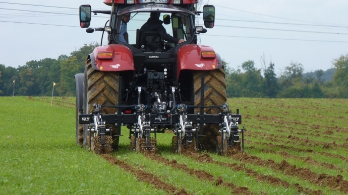 Strip till d'automne