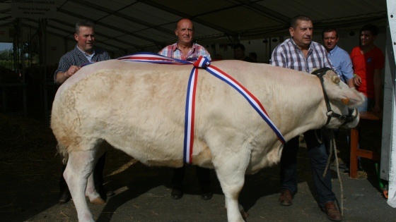 Concours de Roanne 26 et 27 octobre 2013