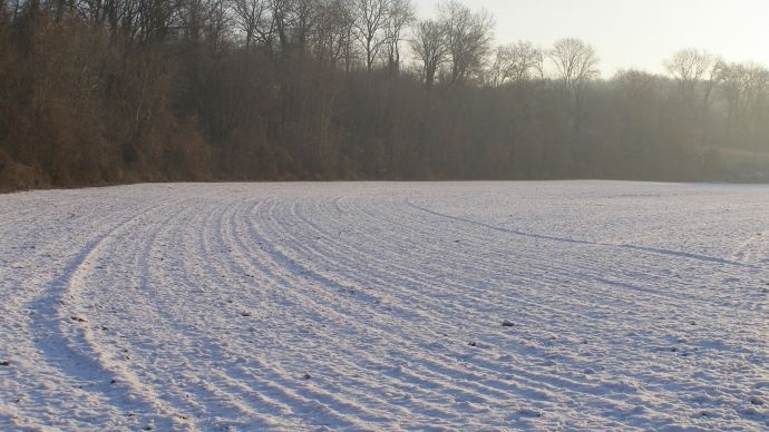 Plaine enneigée