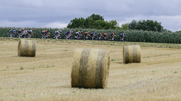 Le 12 juillet 2024, le peloton passe entre les bottes et le maïs, entre Agen et Pau.