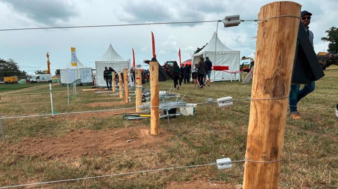 Pour l'épreuve, les éleveurs ont utilisé des isolateurs en porcelaine, un matériau dont la longévité dépasse celle des isolateurs plastiques.