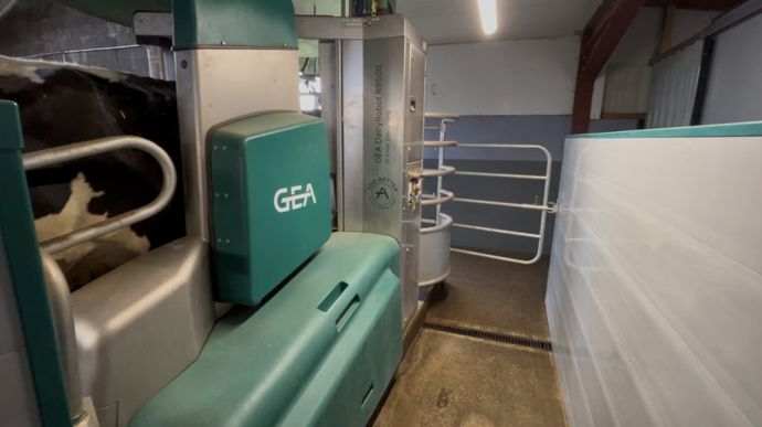 Le robot est placé sur un des quais de l'ancienne salle de traite.