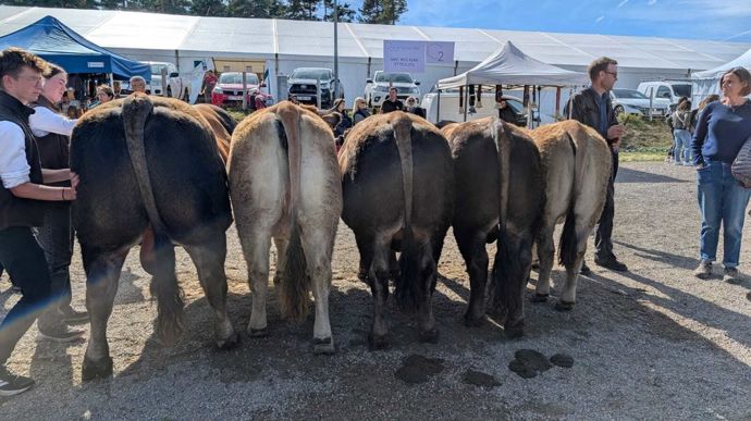 Le Gaec Bos Alric et Fils (Cantal) remporte le prix de famille mâle.