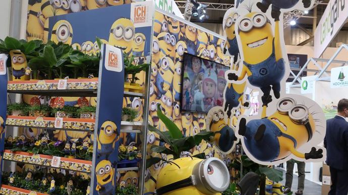 Et pour clore en beauté, des rolls bien « Minions » ! ©Odile Maillard