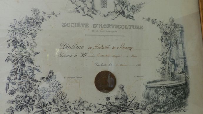 L'histoire de l'entreprise Caussat remonte à 1920 avec le travail de pépiniériste du fondateur Auguste Caussat. La création de l'activité 
