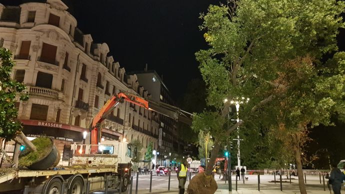 L'entreprise du paysage Caussat est bien implantée en Occitanie. Ici, le chantier de plantation de la gare Matabiau à Toulouse.