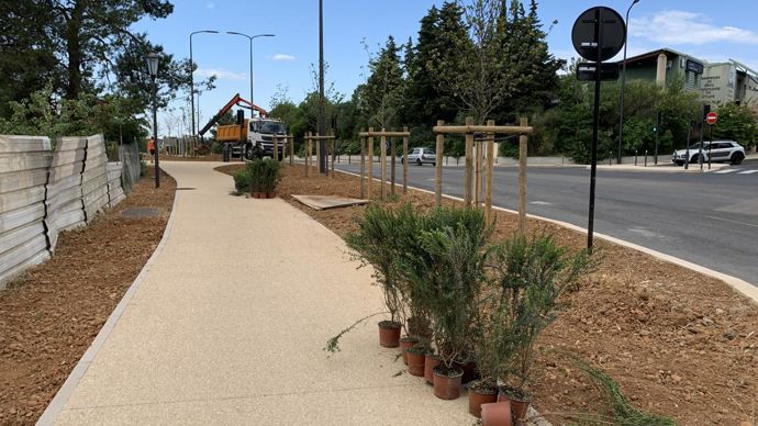 Les arbres avaient été plantés cet hiver, ce sont les arbustes qui devaient encore être plantés en mars et qui l’ont été à la mi-mai. ©P. Fayolle