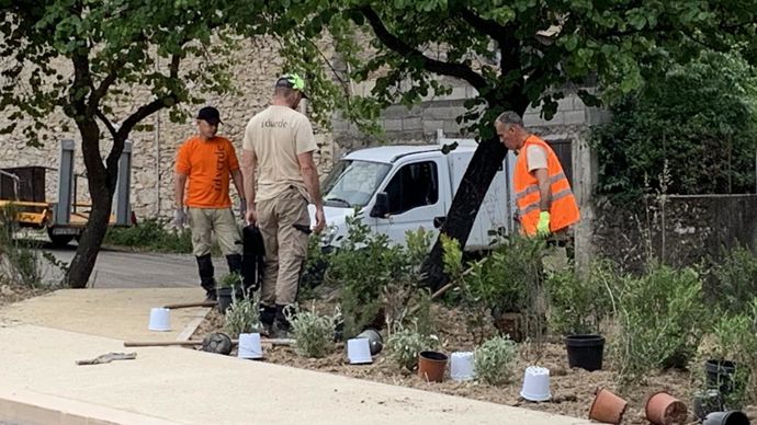 5.C’est l’entreprise ID Verde de Nîmes qui a assuré le chantier de plantation. ©P. Fayolle