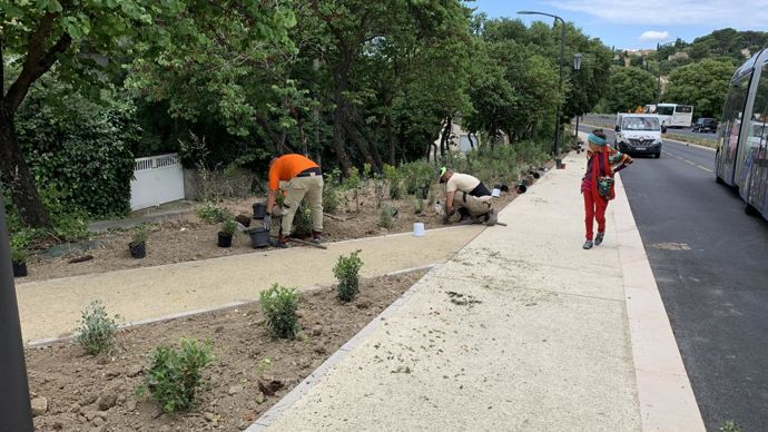 6.Le travail des équipes de plantation n’a pas laissé les riverains indifférents. ©P. Fayolle