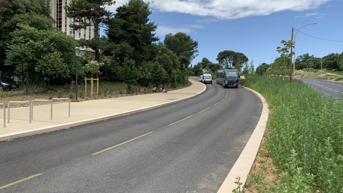 12.Les engazonnements concernent aussi certaines bandes de séparation des circulations entre le trambus et celle des automobiles. ©P. Fayolle