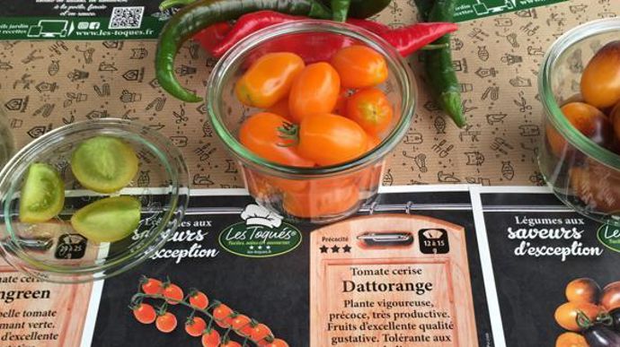 Tomate cerise ‘Dattorange’, fruits acidulés, sucrés, en forme de datte orange. ©Ducrettet