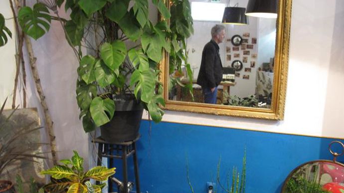 ©Odile Maillard Dans un angle du magasin Mauvaises Graines, David Jeannerot, propriétaire du lieu et ancien styliste, a tenu à exposer un bassin à poissons et plantes aquatiques car, car il aimait pêcher étant enfant. 