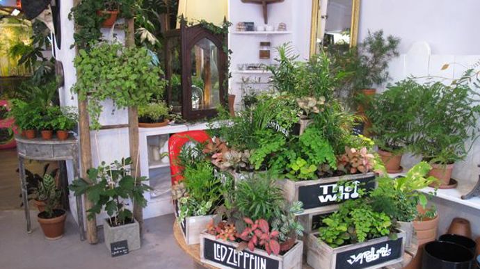 ©Odile Maillard Les « mignons » ou jardinières baptisées aux noms de célèbres groupes de rock des années 80, dont David Jeannerot, créateur des Mauvaises Graines, est fan. 