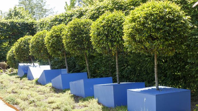 Le second coup de cœur a été décerné à « Régénération ». ©Eric Sander