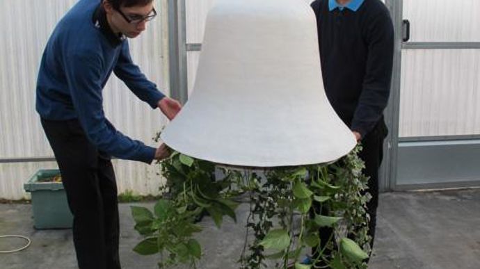 07. Lumin'Herbe de Julien Bidet-Emeriau et Baptiste Maingon.