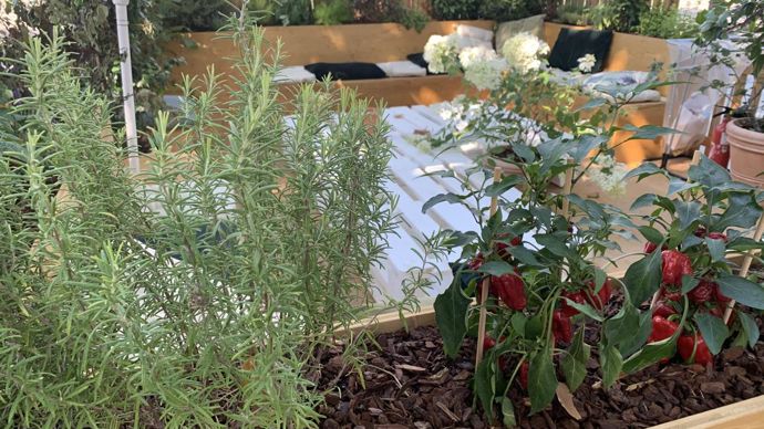 2.Le potager a le vent en poupe et qu’il est plébiscité par les consommateurs et les urbains, proposer une terrasse potagère s’imposait forcément ! ©C. Bias