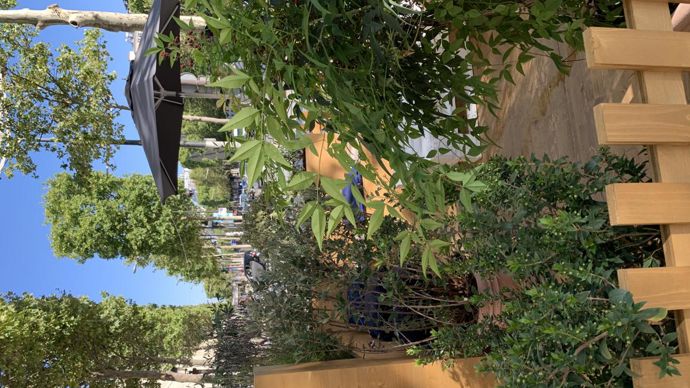 8.Une terrasse aux odeurs de lavande ou de myrte et aux accents ensoleillés. ©C. Bias