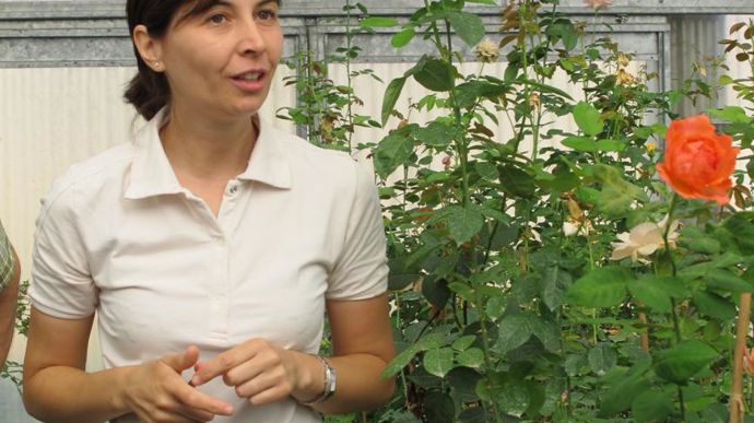 ©photos Valérie Vidril L'entreprise Rose Barni, fondée en 1882, a développé l'activité rose dès 1935. Elle produit des rosiers en pot et racines nues (55 ha), et crée de nouvelles variétés. Beatrice Barni est responsable du programme d'obtention.