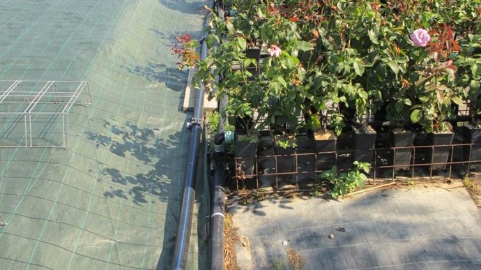 ©photos Valérie Vidril Production de pots pour les jardineries.