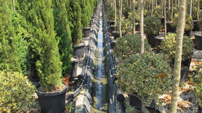 ©photos Valérie Vidril Maggazini Piante. L'eau de drainage est récupérée et réutilisée.