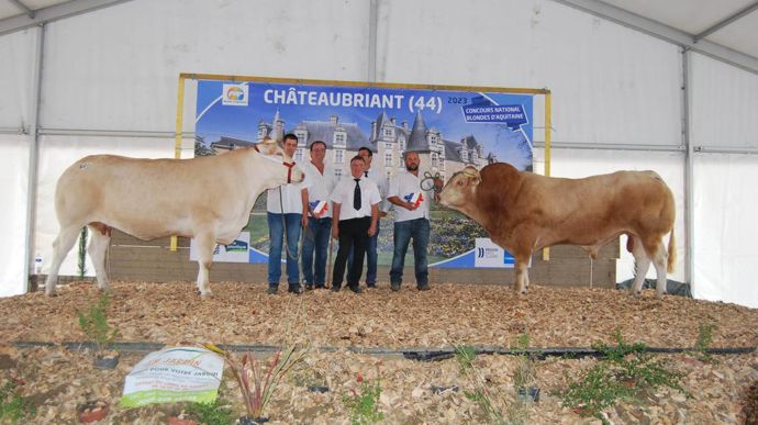 Odelys (à gauche) et Rolls (à droite) remportent le prix de champions adulte femelle et mâle. Le propriétaire de Rolls vient de la Saône-et-Loire, « plutôt rare pour notre bassin de production », souligne Lionel Giraudeau, le directeur de l'organisme de sélection..