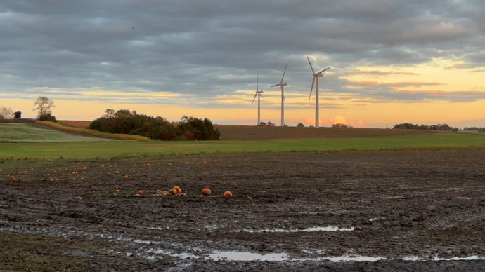 Près de chaque exploitation, quelques éoliennes surplombent le paysage. Ici près des champs de Christian.