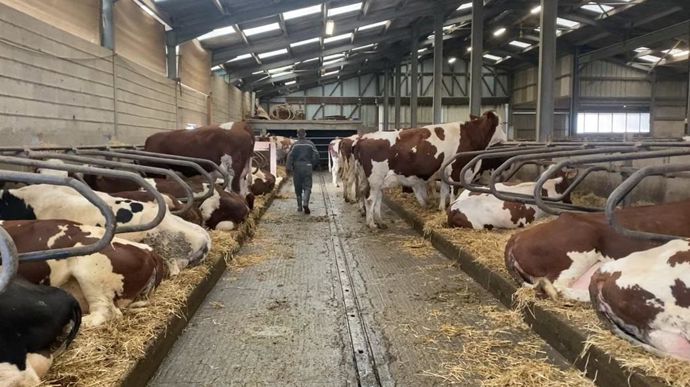 Les deux sites présentent une configuration similaire, tous deux en système logette avec des pâtures attenantes permettant aux vaches de sortir.