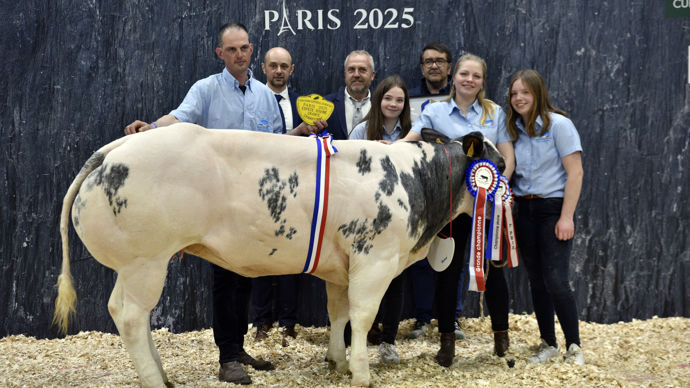 Ulyssa du moulin rouge à Sylvain Cauchy, championne de la race blanc bleu