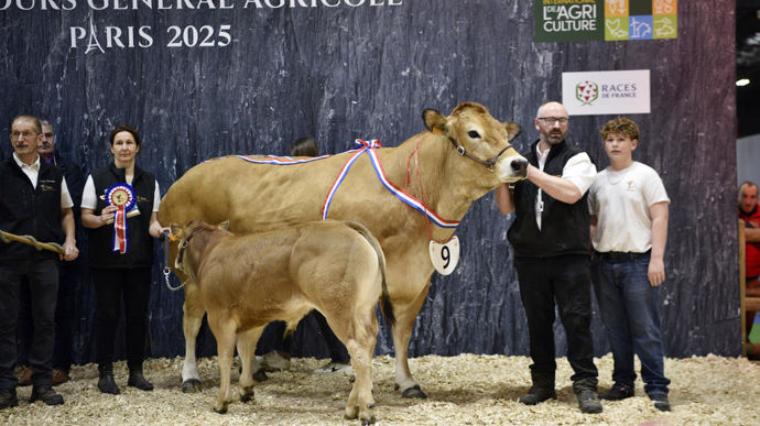 O'jain au Gaec du pré normand, championne de la race parthenaise