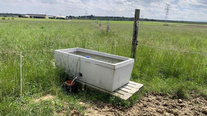 Un maximum de 150 m d’accès à l’abreuvoir. Les 10 ha pâturés comptent 5 abreuvoirs, à raison d’un abreuvoir de 700 litres pour 2 paddocks posé à leur entrée sur des bétons de caillebottis. Ils sont raccordés au réseau potable. Le premier se trouve à 50 mètres du bâtiment. La distance que doit parcourir la vache entre le point le plus éloigné de la mini parcelle et l’abreuvoir est de 150 mètres. C’est largement suffisant. Les recommandations sont de 200 à 250 mètres entre deux abreuvoirs quand tout le troupeau est au pâturage entre deux traites. Ce n’est pas le cas ici car, en traite robotisée, elles se répartissent entre la pâture et le bâtiment.