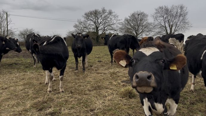 Le troupeau de leur cédant n'a pas été gardé, parce qu'il était vieillissant et avec quelques problèmes sanitaires.