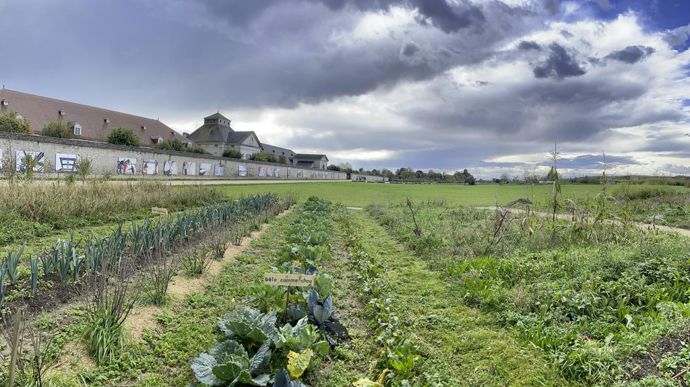 Le jardin maraîcher sur sol vivant est un espace de formation et d’expérimentation. Il a aussi pour vocation d’alimenter la cuisine du restaurant de la Saline.