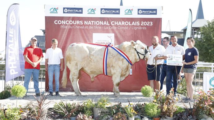 Toranto remporte le titre de champion junior mâles grâce à son bon développement musculaire.