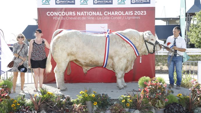 Pasolini ressort de ce concours avec le prix de synthèse.