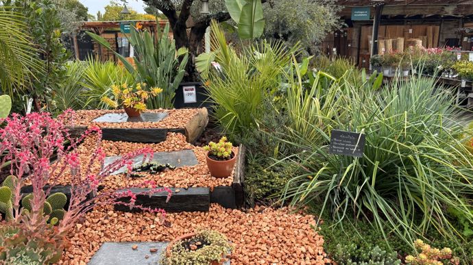 Magasin Botanic à Clapiers (Hérault) : Le Jardin sec.