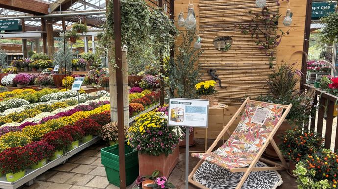 Dans le marché aux fleurs, les gondoles centrales ont été retirées, ouvrant la vue vers la pépinière extérieure. L'organisation est saisonnière et modulable : ici une mise en scène dans une maisonnette mobile pour inspirer la clientèle.