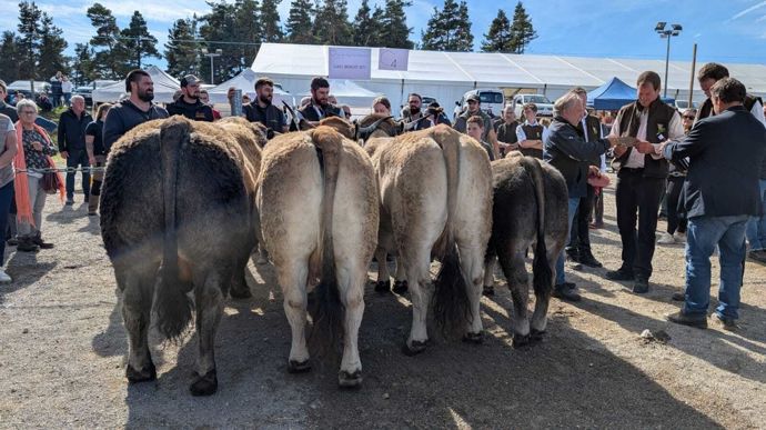 Le prix de famille femelle est remporté par le Gaec Benoît (07).