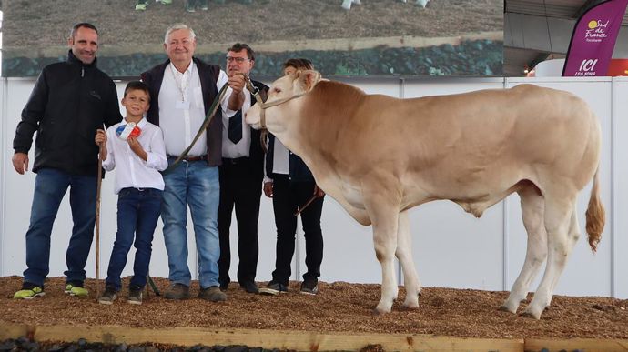 Deuxième prix pour le Gaec des Jacquards dans les catégories mâles. Avec Vaillant, ils décrochent le prix de champion jeune mâle.
